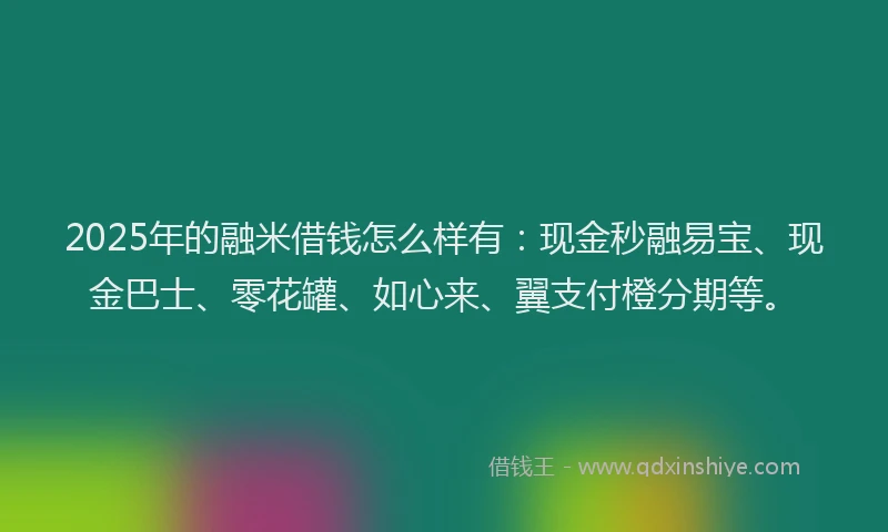 2025年的融米借钱怎么样有：现金秒融易宝、现金巴士、零花罐、如心来、翼支付橙分期等。