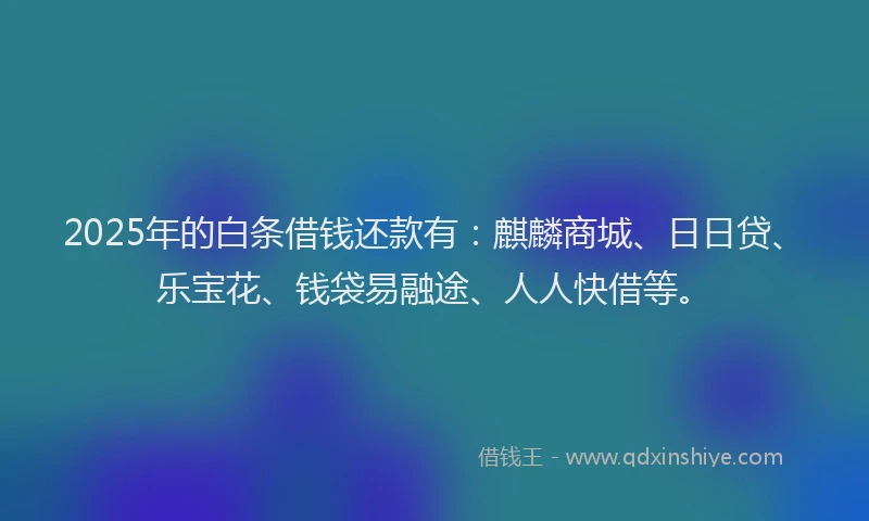 2025年的白条借钱还款有：麒麟商城、日日贷、乐宝花、钱袋易融途、人人快借等。