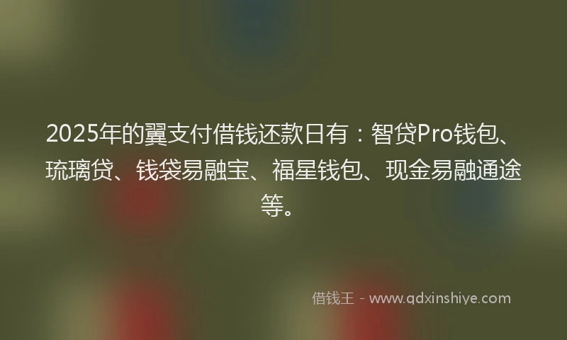2025年的翼支付借钱还款日有：智贷Pro钱包、琉璃贷、钱袋易融宝、福星钱包、现金易融通途等。