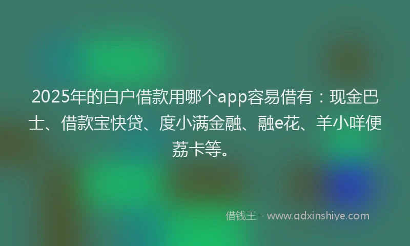 2025年的白户借款用哪个app容易借有：现金巴士、借款宝快贷、度小满金融、融e花、羊小咩便荔卡等。