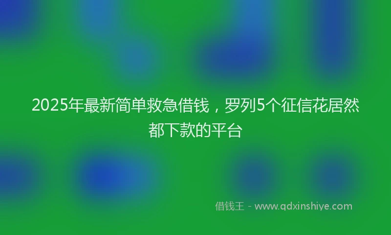 2025年最新简单救急借钱，罗列5个征信花居然都下款的平台