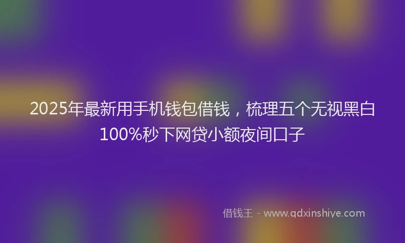 2025年最新用手机钱包借钱，梳理五个无视黑白100%秒下网贷小额夜间口子