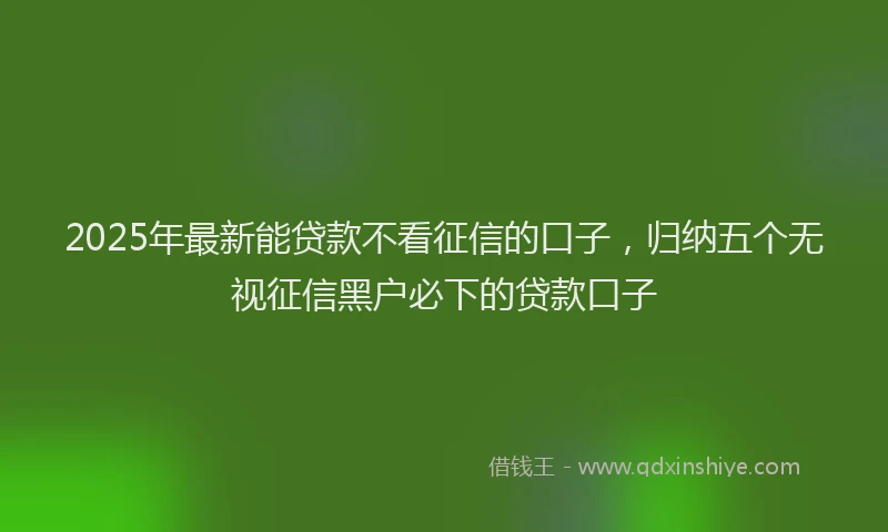 2025年最新能贷款不看征信的口子，归纳五个无视征信黑户必下的贷款口子