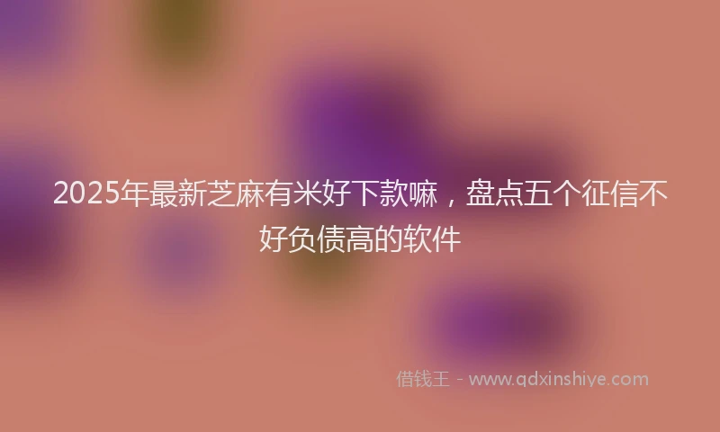 2025年最新芝麻有米好下款嘛，盘点五个征信不好负债高的软件