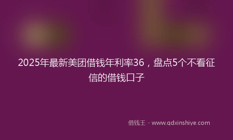 2025年最新美团借钱年利率36，盘点5个不看征信的借钱口子