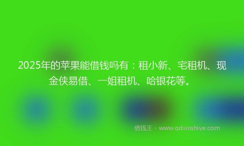 2025年的苹果能借钱吗有：租小新、宅租机、现金侠易借、一姐租机、哈银花等。