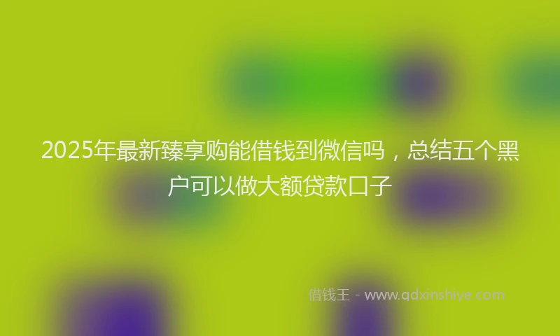 2025年最新臻享购能借钱到微信吗，总结五个黑户可以做大额贷款口子