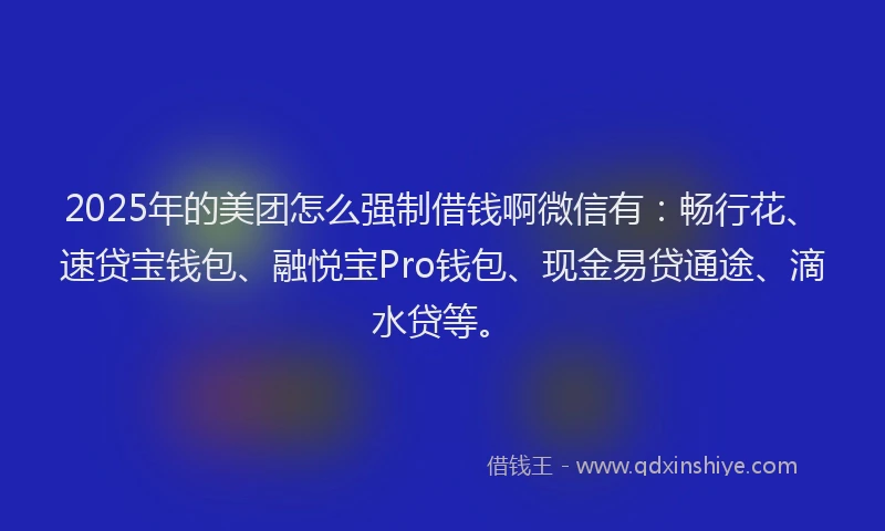 2025年的美团怎么强制借钱啊微信有：畅行花、速贷宝钱包、融悦宝Pro钱包、现金易贷通途、滴水贷等。