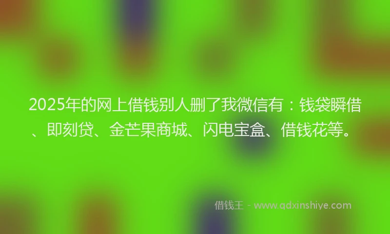 2025年的网上借钱别人删了我微信有：钱袋瞬借、即刻贷、金芒果商城、闪电宝盒、借钱花等。