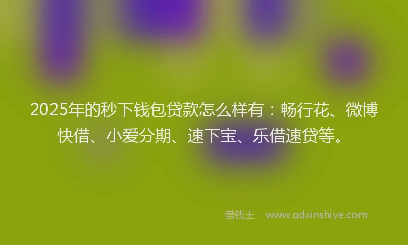 2025年的秒下钱包贷款怎么样有：畅行花、微博快借、小爱分期、速下宝、乐借速贷等。