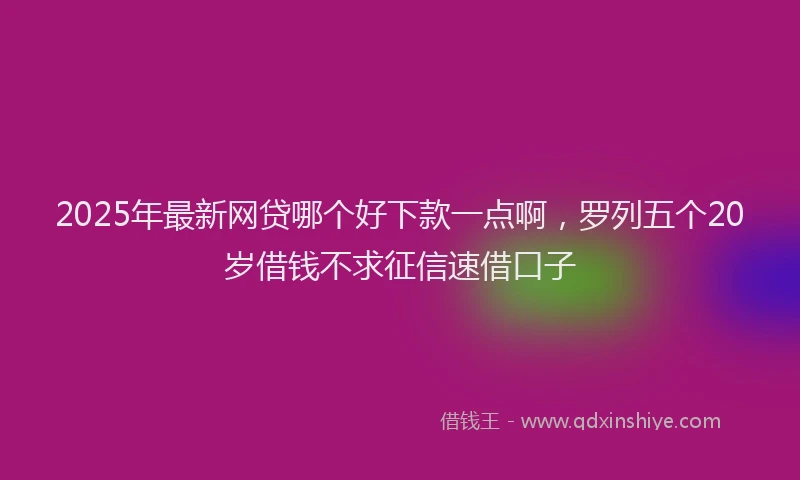 2025年最新网贷哪个好下款一点啊，罗列五个20岁借钱不求征信速借口子