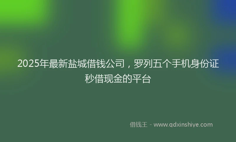 2025年最新盐城借钱公司，罗列五个手机身份证秒借现金的平台