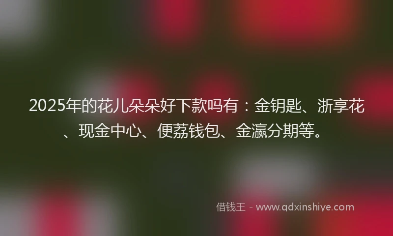 2025年的花儿朵朵好下款吗有：金钥匙、浙享花、现金中心、便荔钱包、金瀛分期等。