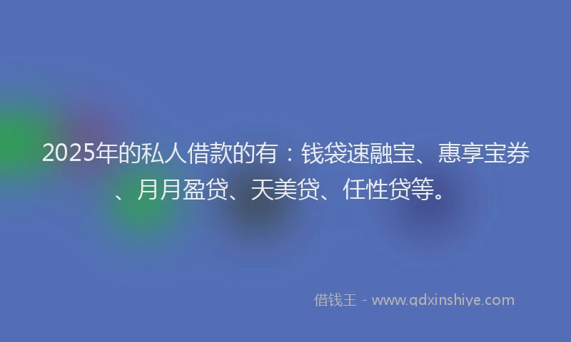 2025年的私人借款的有：钱袋速融宝、惠享宝券、月月盈贷、天美贷、任性贷等。