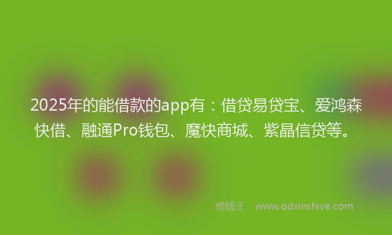 2025年的能借款的app有：借贷易贷宝、爱鸿森快借、融通Pro钱包、魔快商城、紫晶信贷等。