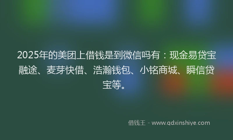 2025年的美团上借钱是到微信吗有：现金易贷宝融途、麦芽快借、浩瀚钱包、小铭商城、瞬信贷宝等。
