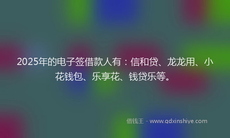 2025年的电子签借款人有：信和贷、龙龙用、小花钱包、乐享花、钱贷乐等。
