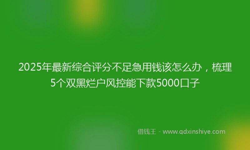 2025年最新综合评分不足急用钱该怎么办，梳理5个双黑烂户风控能下款5000口子