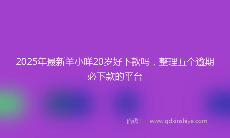 2025年最新羊小咩20岁好下款吗，整理五个逾期必下款的平台