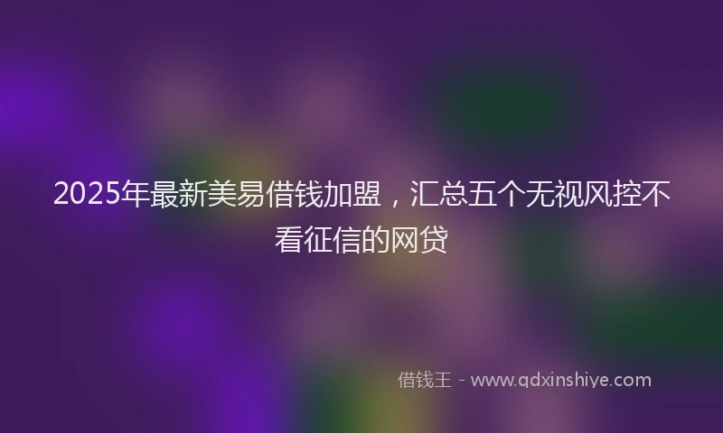 2025年最新美易借钱加盟，汇总五个无视风控不看征信的网贷