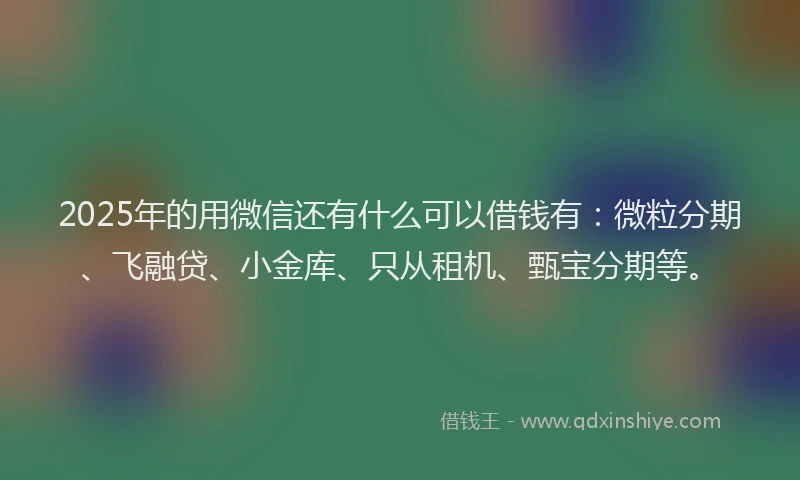 2025年的用微信还有什么可以借钱有：微粒分期、飞融贷、小金库、只从租机、甄宝分期等。