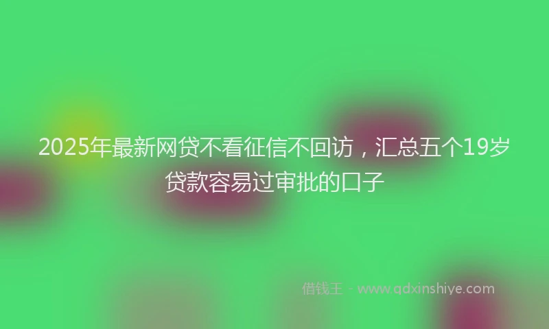 2025年最新网贷不看征信不回访，汇总五个19岁贷款容易过审批的口子