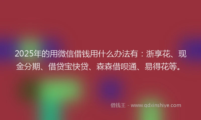 2025年的用微信借钱用什么办法有：浙享花、现金分期、借贷宝快贷、森森借呗通、易得花等。