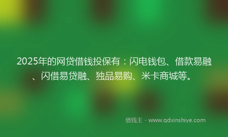 2025年的网贷借钱投保有：闪电钱包、借款易融、闪借易贷融、独品易购、米卡商城等。