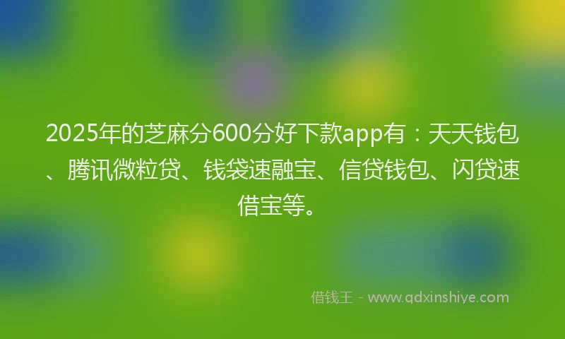 2025年的芝麻分600分好下款app有：天天钱包、腾讯微粒贷、钱袋速融宝、信贷钱包、闪贷速借宝等。