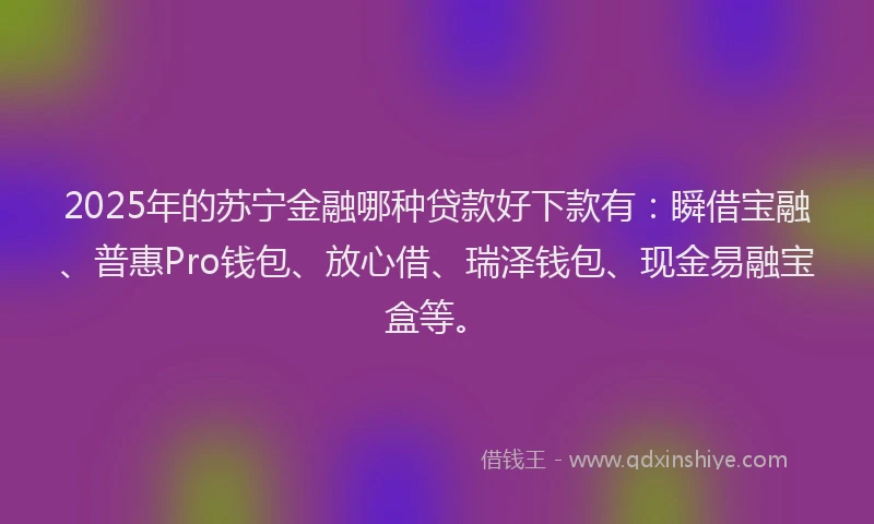 2025年的苏宁金融哪种贷款好下款有：瞬借宝融、普惠Pro钱包、放心借、瑞泽钱包、现金易融宝盒等。