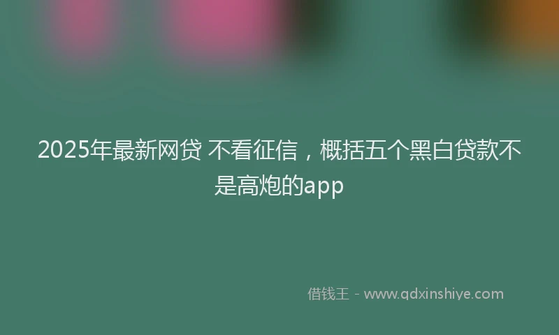 2025年最新网贷 不看征信，概括五个黑白贷款不是高炮的app