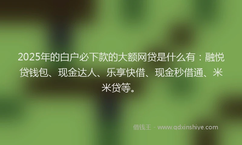 2025年的白户必下款的大额网贷是什么有：融悦贷钱包、现金达人、乐享快借、现金秒借通、米米贷等。