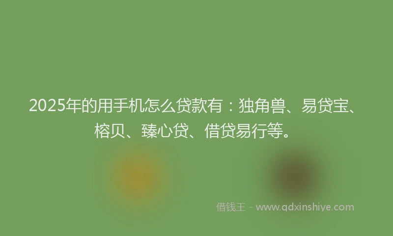 2025年的用手机怎么贷款有：独角兽、易贷宝、榕贝、臻心贷、借贷易行等。