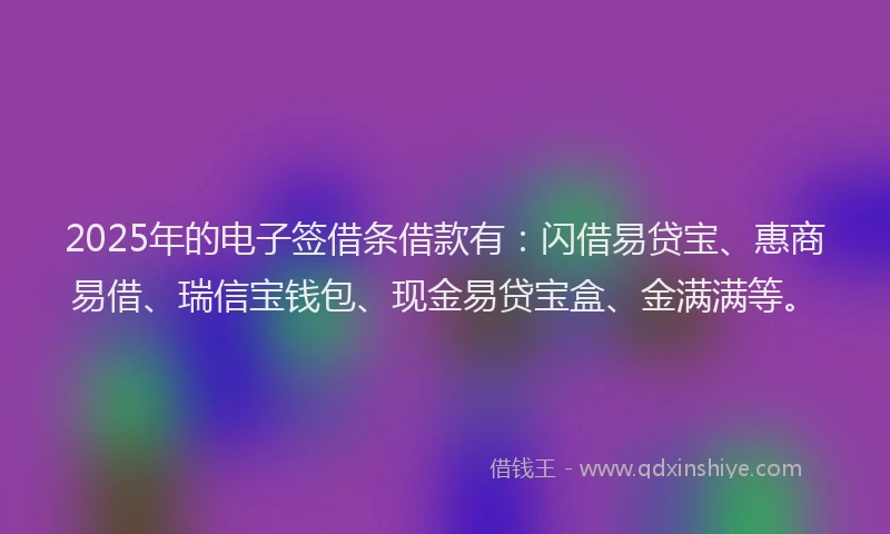 2025年的电子签借条借款有：闪借易贷宝、惠商易借、瑞信宝钱包、现金易贷宝盒、金满满等。