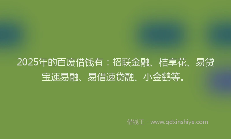 2025年的百废借钱有：招联金融、桔享花、易贷宝速易融、易借速贷融、小金鹤等。
