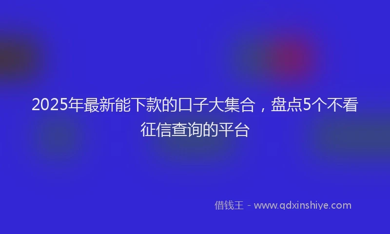 2025年最新能下款的口子大集合，盘点5个不看征信查询的平台
