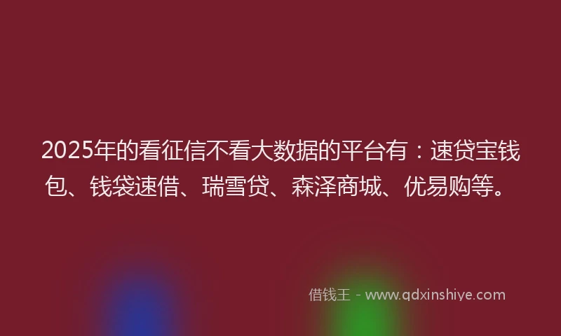 2025年的看征信不看大数据的平台有：速贷宝钱包、钱袋速借、瑞雪贷、森泽商城、优易购等。