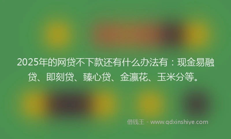 2025年的网贷不下款还有什么办法有：现金易融贷、即刻贷、臻心贷、金瀛花、玉米分等。
