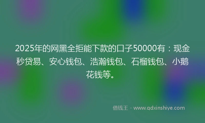 2025年的网黑全拒能下款的口子50000有：现金秒贷易、安心钱包、浩瀚钱包、石榴钱包、小鹅花钱等。