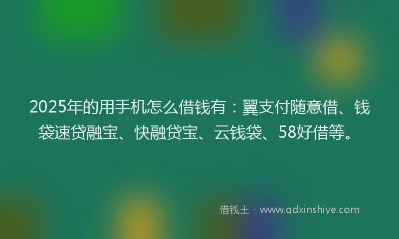 2025年的用手机怎么借钱有：翼支付随意借、钱袋速贷融宝、快融贷宝、云钱袋、58好借等。