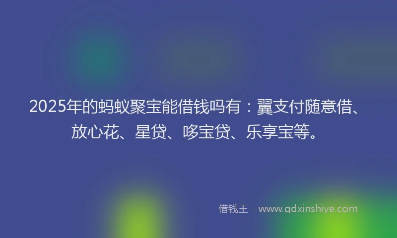 2025年的蚂蚁聚宝能借钱吗有：翼支付随意借、放心花、星贷、哆宝贷、乐享宝等。