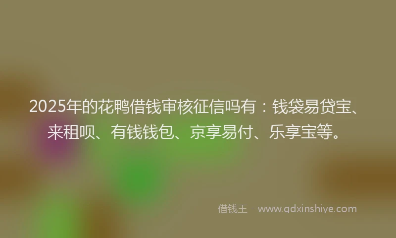 2025年的花鸭借钱审核征信吗有：钱袋易贷宝、来租呗、有钱钱包、京享易付、乐享宝等。