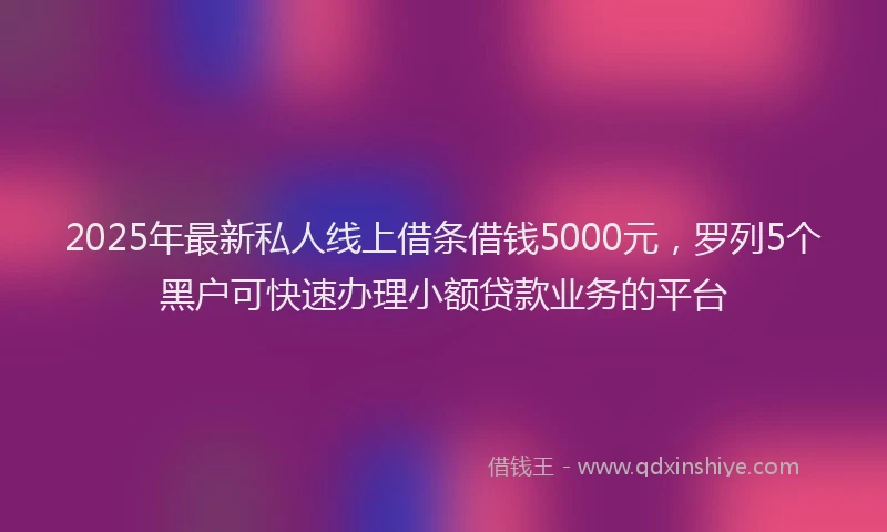 2025年最新私人线上借条借钱5000元，罗列5个黑户可快速办理小额贷款业务的平台