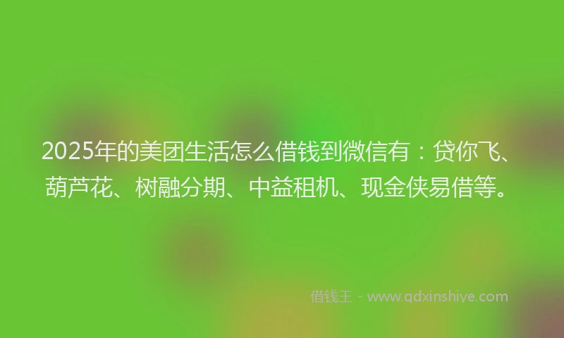 2025年的美团生活怎么借钱到微信有：贷你飞、葫芦花、树融分期、中益租机、现金侠易借等。
