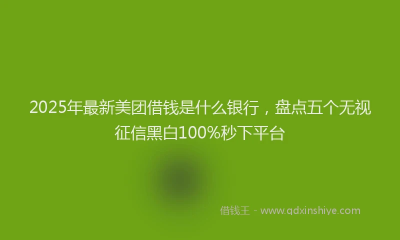 2025年最新美团借钱是什么银行，盘点五个无视征信黑白100%秒下平台