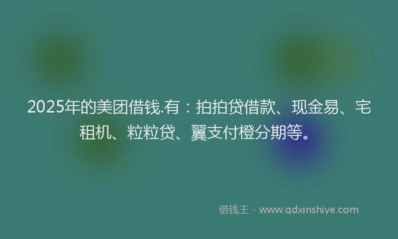 2025年的美团借钱.有：拍拍贷借款、现金易、宅租机、粒粒贷、翼支付橙分期等。
