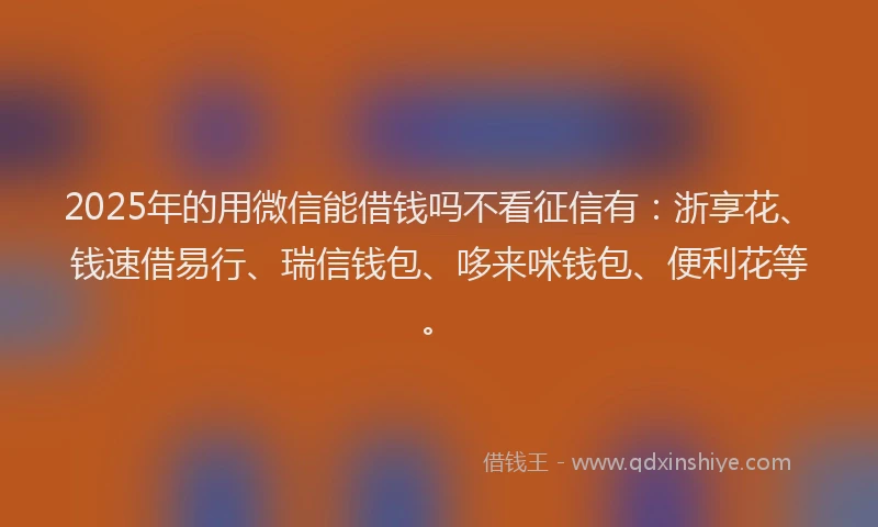 2025年的用微信能借钱吗不看征信有：浙享花、钱速借易行、瑞信钱包、哆来咪钱包、便利花等。