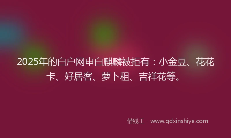 2025年的白户网申白麒麟被拒有：小金豆、花花卡、好居客、萝卜租、吉祥花等。