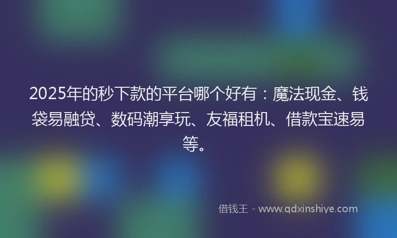 2025年的秒下款的平台哪个好有：魔法现金、钱袋易融贷、数码潮享玩、友福租机、借款宝速易等。