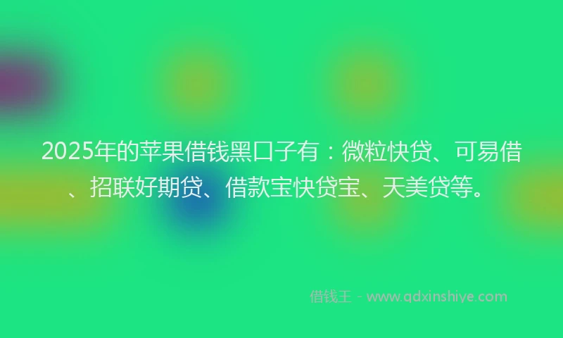 2025年的苹果借钱黑口子有：微粒快贷、可易借、招联好期贷、借款宝快贷宝、天美贷等。